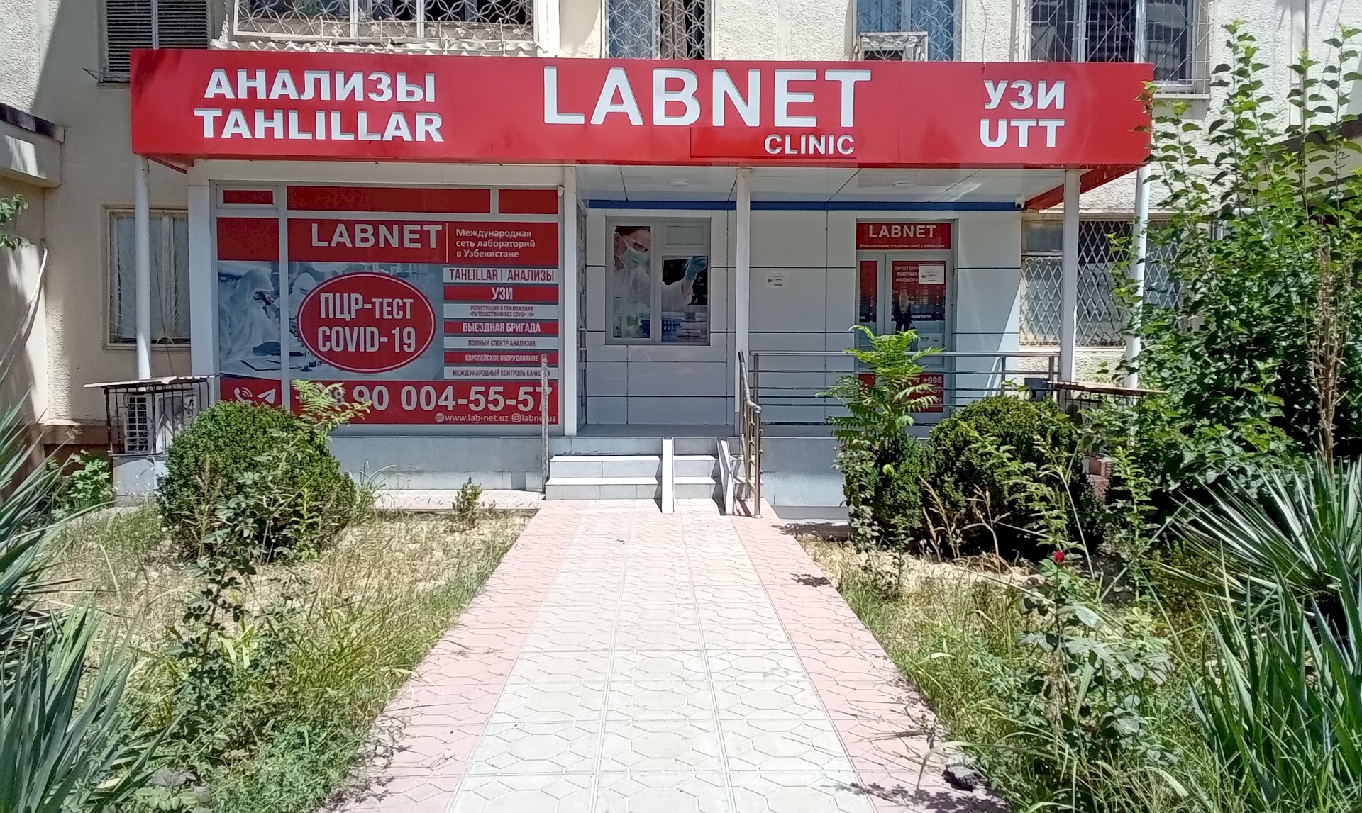 LABNET CLINIC - Сервис поисковой системы