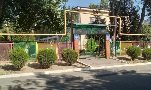 Специализированный детский сад №442 "Nilufar"